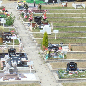 個別墓地